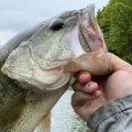 Where is the best fishing in the northeast?
