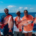 Types of fishing charters?