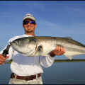 Exploring the East Coast of Florida: What Kind of Fish Can You Catch?