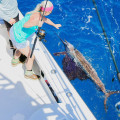 Fishing Charters in the Florida Keys: How Much Does it Cost?