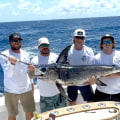 How much is a fishing charter in the keys?