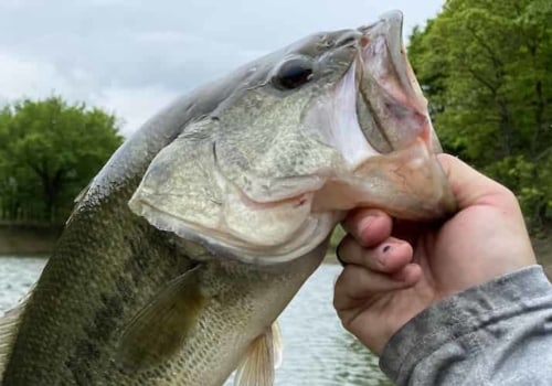 Where is the best fishing in the northeast?
